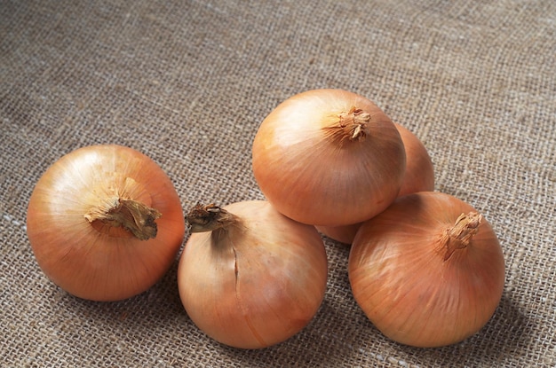 Whole onions on a background of burlap close up