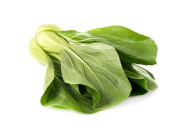 Whole pak choi  isolated