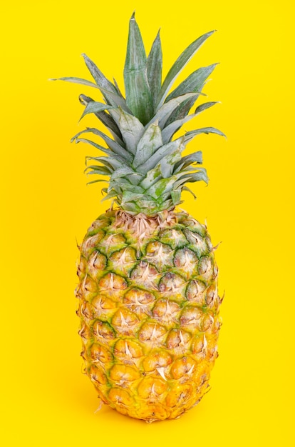 Whole pineapple fruit on bright