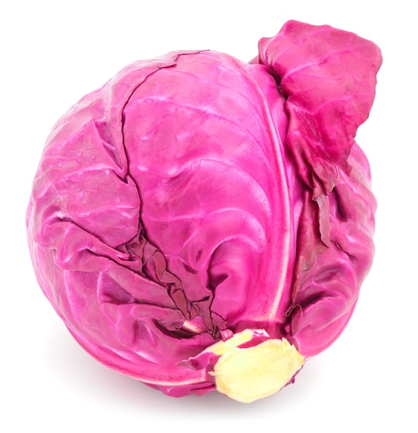 Whole red cabbage