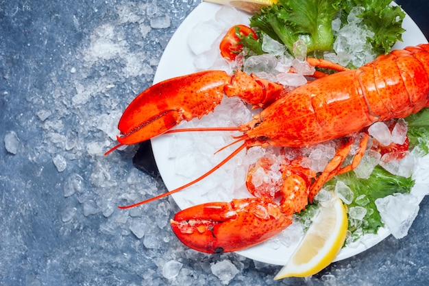 Foto intero aragosta rossa con pomodoro e fette di limone sul piatto bianco