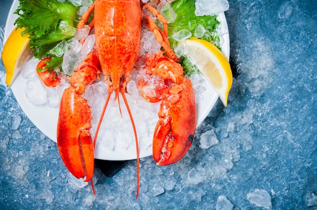 Intero aragosta rossa con pomodoro e fette di limone sul piatto bianco