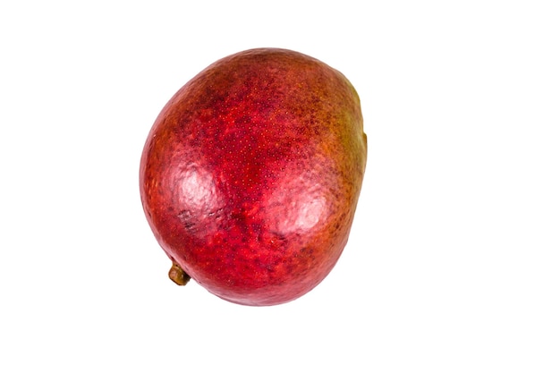 Whole red mango fruit isolated on a white background