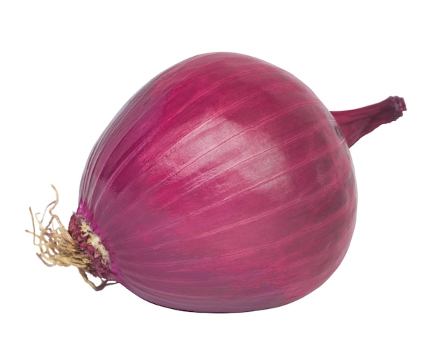 Whole red onion isolated on a white background