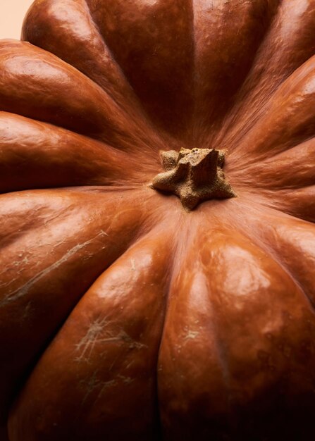 Whole ripe orange pumpkin close up background