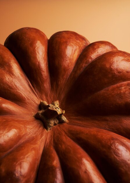 Whole ripe pumpkin close up orange background