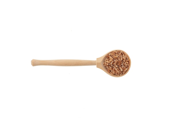 Whole spelt grain in wooden spoon on white background top view Design element copy space