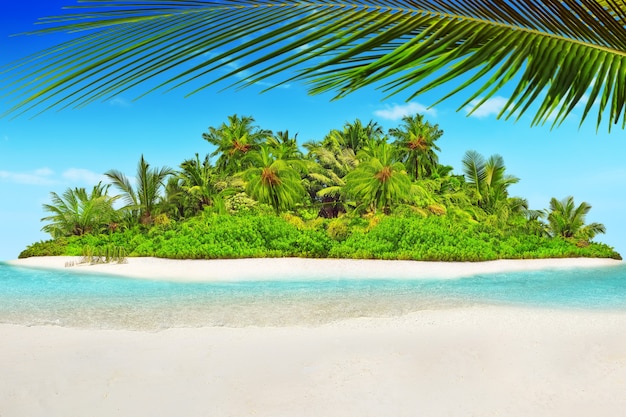 Whole tropical island within atoll in Indian Ocean. Uninhabited and wild subtropical isle with palm trees. Blank  sand on a tropical island.
