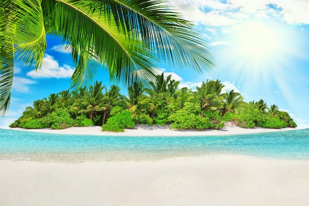 Whole tropical island within atoll in Indian Ocean. Uninhabited and wild subtropical isle with palm trees. Blank  sand on a tropical island.