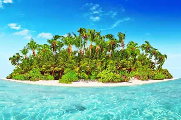 Whole tropical island within atoll in tropical Ocean. Uninhabited and wild subtropical isle with palm trees. Equatorial part of the ocean, tropical island resort.