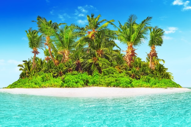 Whole tropical island within atoll in tropical Ocean. Uninhabited and wild subtropical isle with palm trees. Equatorial part of the ocean, tropical island resort.