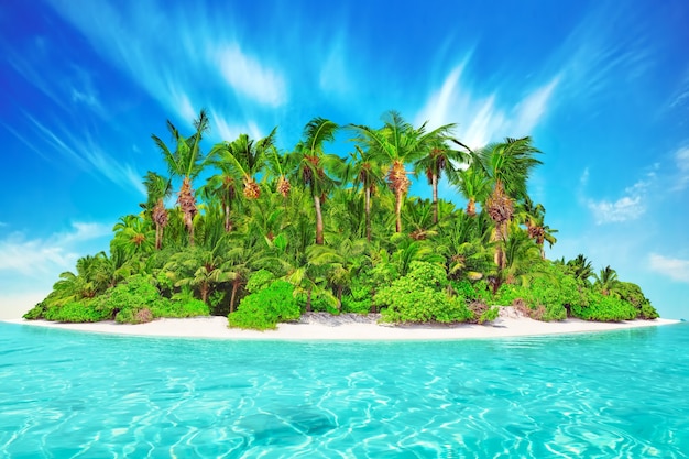 Photo whole tropical island within atoll in tropical ocean. uninhabited and wild subtropical isle with palm trees. equatorial part of the ocean, tropical island resort.