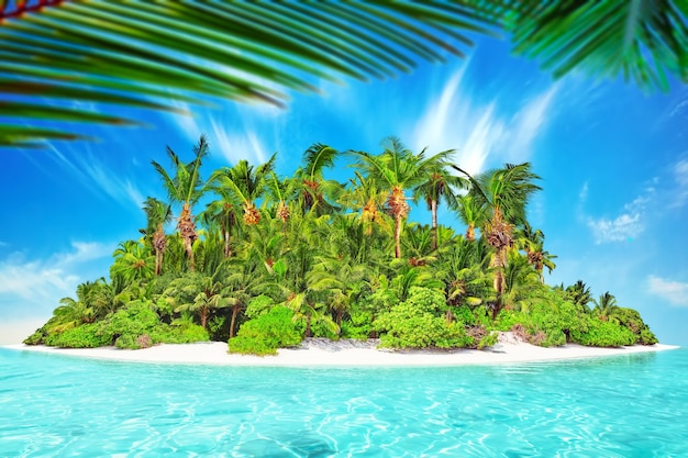 Whole tropical island within atoll in tropical Ocean. Uninhabited and wild subtropical isle with palm trees. Equatorial part of the ocean, tropical island resort.