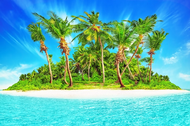 Whole tropical island within atoll in tropical Ocean. Uninhabited and wild subtropical isle with palm trees. Equatorial part of the ocean, tropical island resort.