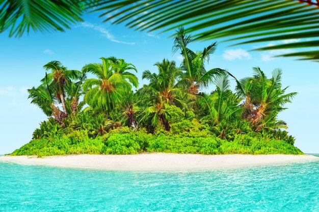 Whole tropical island within atoll in tropical Ocean. Uninhabited and wild subtropical isle with palm trees. Equatorial part of the ocean, tropical island resort.