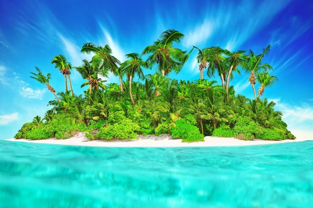 Whole tropical island within atoll in tropical Ocean. Uninhabited and wild subtropical isle with palm trees. Equatorial part of the ocean, tropical island resort.