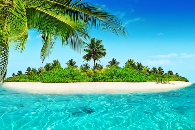 Весь тропический остров в атолле в тропическом океане. Необитаемый и дикий субтропический остров с пальмами. Экваториальная часть океана, тропический остров-курорт.
