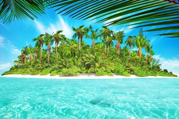 Whole tropical island within atoll in tropical Ocean. Uninhabited and wild subtropical isle with palm trees. Equatorial part of the ocean, tropical island resort.