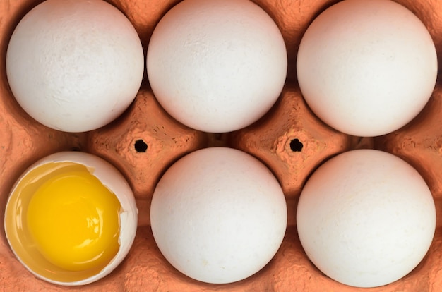 Whole white chicken eggs and one broken egg in a cardboard container for storage and transportation isolated on white background