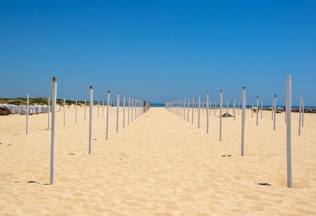 Whte wooden line on the sea beach