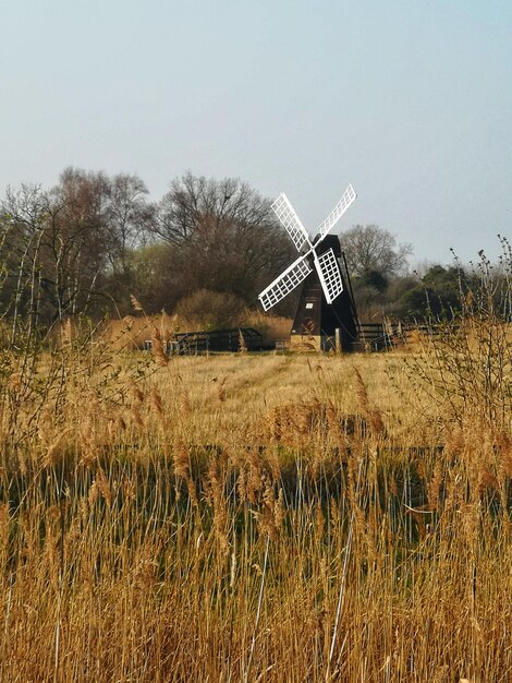 Wicken fen windmill viewed across reedbeds cambridgeshire east anglia uk