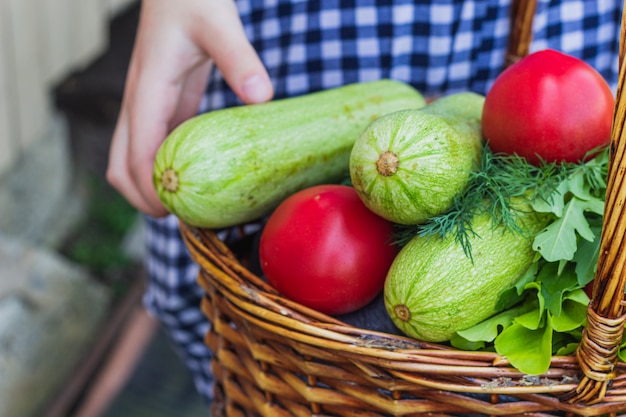 In a wicker basket are tomatoes, zucchini, lettuce, Basil, cucumber and dill