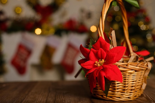 Wicker basket decorated with poinsettia on wooden table and Christmas background