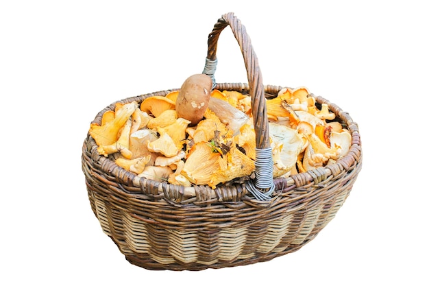 Wicker basket filled with mushrooms, on white