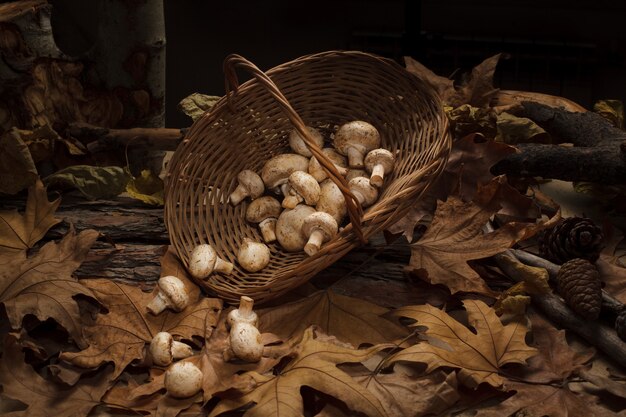 Wicker basket full of mushrooms standing on the moss in the woods