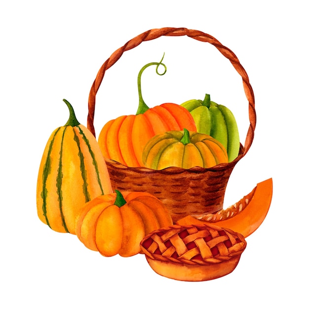 Wicker basket of orange and green pumpkin with pie watercolor illustration for prints invitations postcards to the autumn holidays Thanksgiving harvest festival farmers market kitchen menu