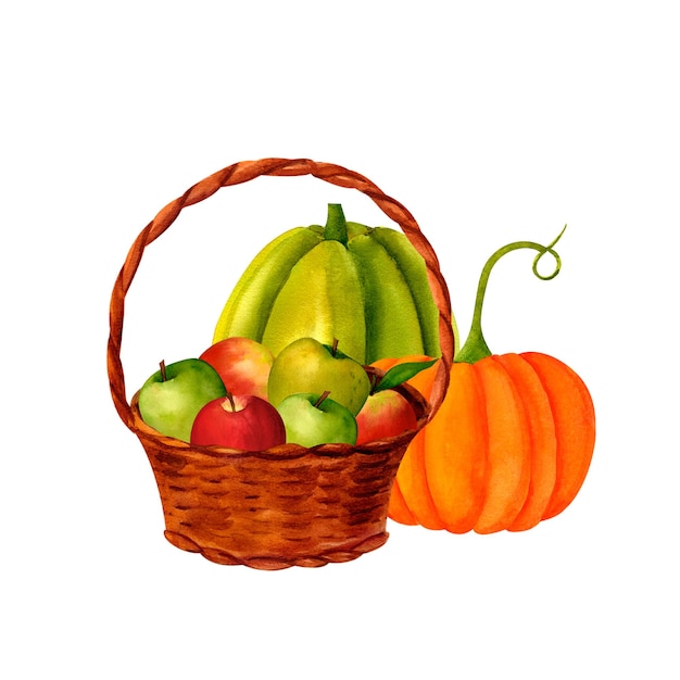 Wicker basket of red and green apple pumpkins watercolor realistic illustration for prints invitations postcards to the autumn holidays Thanksgiving harvest festival farmers market kitchen