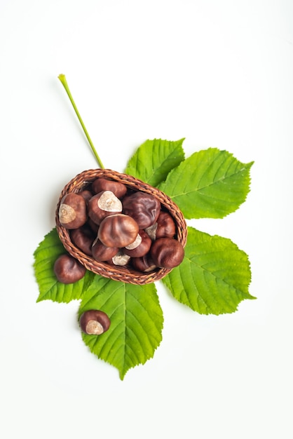 Wicker basket with chestnuts and green tree leaf on white