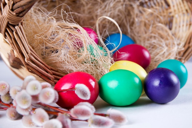 Cesto di vimini con uova colorate e rami di salice su sfondo bianco buona pasqua