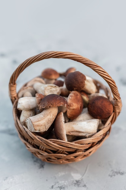 Cesto di vimini con funghi di bosco freschi su sfondo grigio