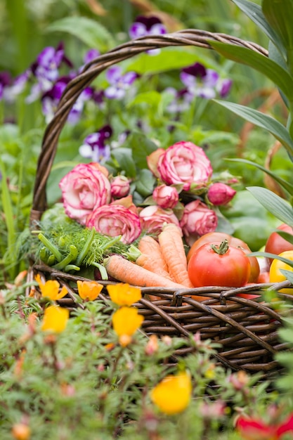 A wicker basket with organic freshly picked vegetables and flowers stands on the grass in the garden