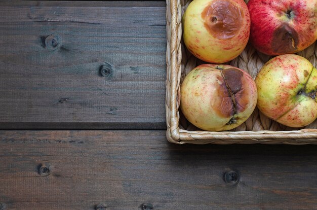 Wicker basket with organic ugly apples on the wooden table. close up.