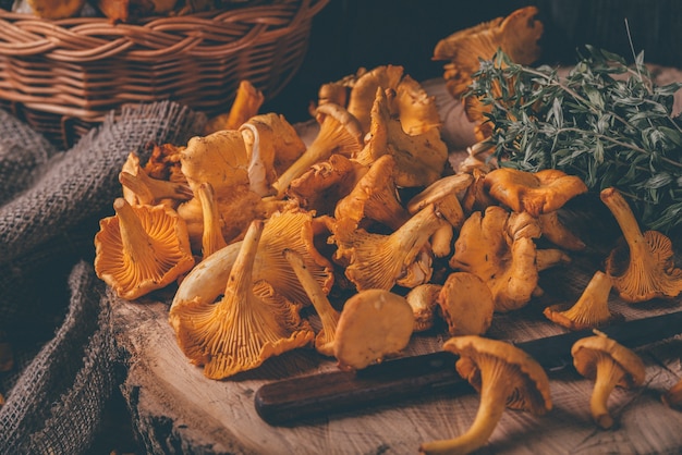 Wicker tray with chanterelle mushrooms on wooden table