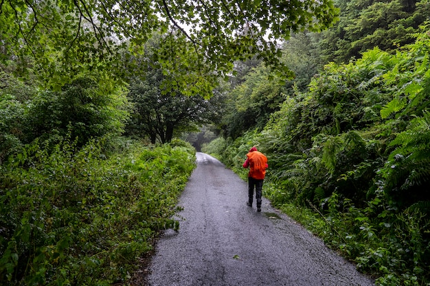 Wicklow manier in een regenachtige dag met een meisje in de poot.