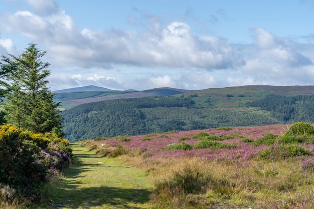 Wicklow way, contea di wicklow.