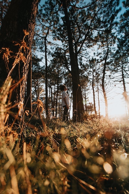Wide angle floor angle of man in nature, adventure and travel\
concept. sunset moment, strong and tall trees. inspiration and\
mindfulness concept