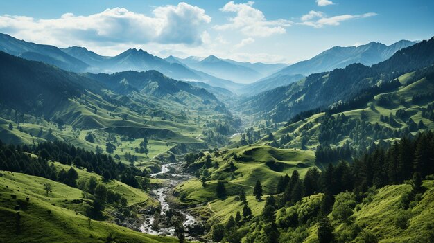 Wide angle shot of trees and forests on a mountain