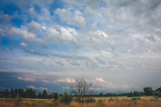 Wide blue sky above rural area landscape photo