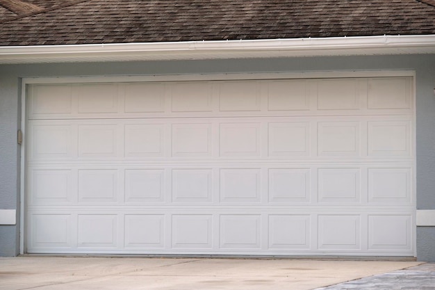 Wide garage double door and concrete driveway of new modern american house