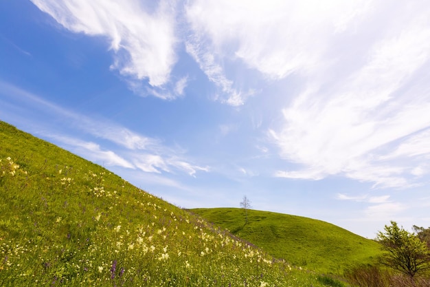 wide green fields with a gorge