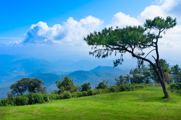 Wide panorama from tourist lookout mountain ranges and hills covered by evergreen cold rain-forests mountain range at the west of thailand