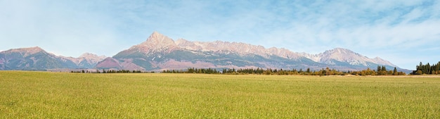 Wide panorama of green meadow with small forest and mount Krivan peak - Slovak symbol - in distance, blue sky above