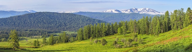 Wide panoramic view, the beginning of summer in the mountains. Green forests and meadows, snow-capped peaks and blue sky.