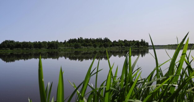 Photo a wide river in eastern europe the neman