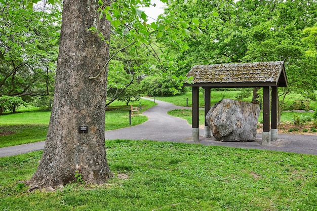 Photo wide shot of moss covered roof tiles over giant boulder and large tree nearby along forest path