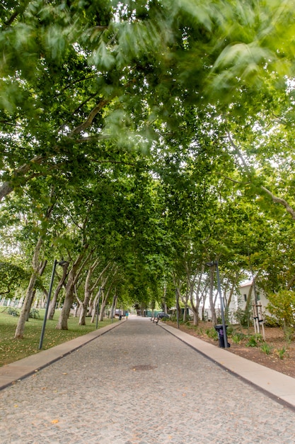 Wide view of the main urban park of the city of Loule, Portugal.